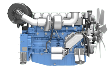 WP13